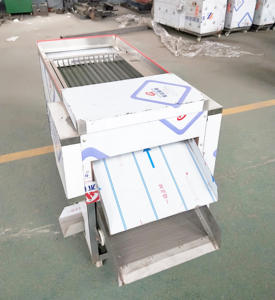 Máquina Cortadora de Pimientos de Acero Inoxidable, Máquina para Eliminar Semillas de Pimiento Rojo en Venta - Product Image 5