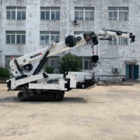 Grue araignée de 5 tonnes - Électrique, diesel, mini-grue de levage hydraulique, avec stabilisateurs, sans fil, certifiée CE