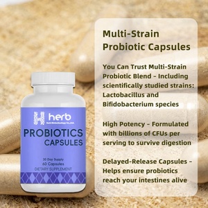 Suplementos Probióticos de Marca Privada OEM/ODM para Mujeres, Favorecen una Digestión Saludable, Cápsulas de Probióticos para Adultos - Product Image 2