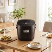 Autocuiseur de riz carré JOSOO OEM, portable, pour cuisson lente, soupes et bouillons, usage domestique