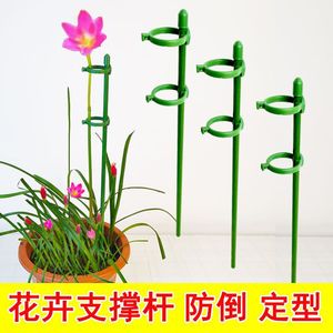 Soporte para orquídeas Phalaenopsis, soporte para plantas en maceta, protector de hojas antivuelco, soporte para ramas de rosas, soporte para suculentas. - Product Image 2
