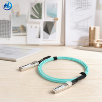 Kabel Optik Aktif Interkoneksi SFP-25G-AOC1M 25G SFP28 ke SFP28 1m