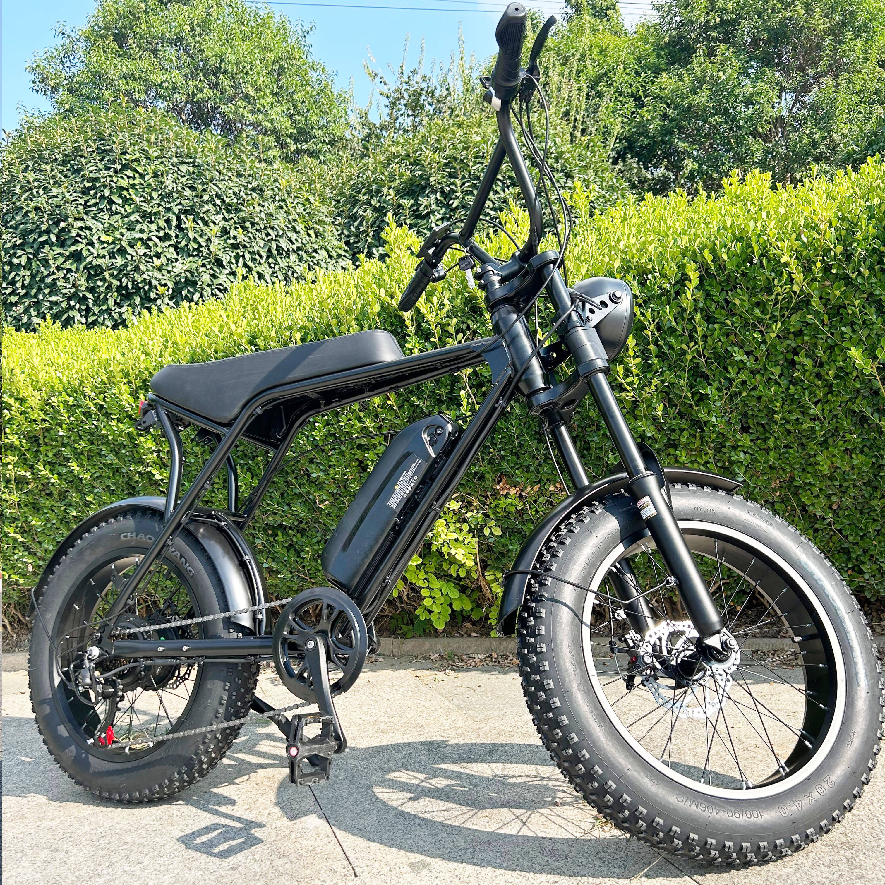 3000W E Bike Electric Mountain Cargo Bike for City Dirt