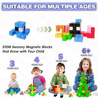Ensemble de cubes de construction magnétiques pour adolescents et adultes, blocs sensoriels colorés, apprentissage éducatif STEM, construction créative empilable en plastique