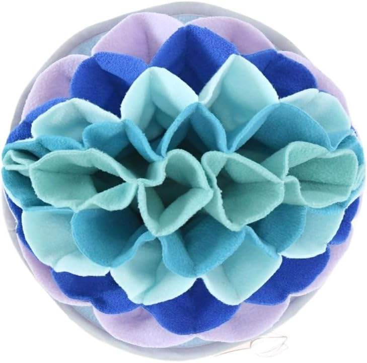 มหาสมุทรสีฟ้า