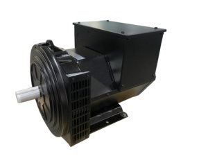 Generador Trifásico de 1500 rpm, 50 Hz, 27.5 KVA, con un Solo Rodamiento, Alternador sin Escobillas de 22 kW, Cabezal de Cilindro NF184L-F, NF184L-F 30 Kw - Product Image 5