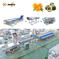 Laveuse industrielle de grande capacité pour pommes, abricots et oranges – Machine à laver les fruits à bulles