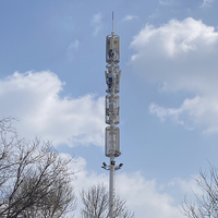 Tour Monopode Télécom Personnalisée 20m 30m 40m 50m 60m en Acier Galvanisé pour Antenne de Communication Réseau 4G 5G Haut Mât