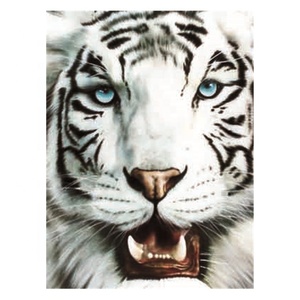 <span class=keywords><strong>Impression</strong></span> <span class=keywords><strong>lenticulaire</strong></span> d'<span class=keywords><strong>image</strong></span> de tigre 3D - Product Image 3