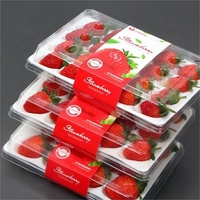 Récipient d'emballage transparent pour fraises fraîches Boîte en plastique pour aliments de supermarché Emballage pour fruits Boîte en plastique pour fraises