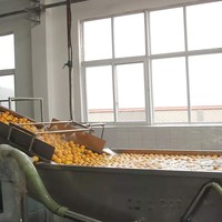 Hoge kwaliteit, hoge efficiëntie, milieuvriendelijke wasrolborstelmachine voor het reinigen van fruit, groenten & tarwe, bovenaan de BYFW-model.