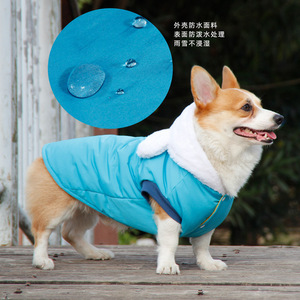 Manteau rembourré en coton pour chiens, vêtements chauds et résistants à l'humidité, jaune, bleu, Teddy, bouledogue français, Corgi, vêtements pour animaux de compagnie, automne et hiver - Product Image 3