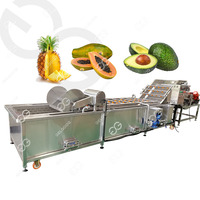 Fruit Groente Wassen Verwerking Avocado Apple Oranje Citroen Wassen Drogen En Waxen Apparatuur