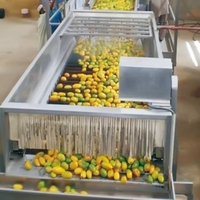 Anxu Mango Sinaasappelpers Type Motor Kerncomponent 75kw 2000KG voor Fruit- en Groenteverwerkingsbedrijf Vruchtensapvulmachine