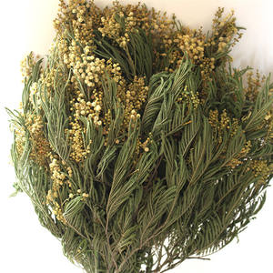 E-3040 Toptan doğal bitki kuru <span class=keywords><strong>eucalyptus</strong></span> berry kurutulmuş Okaliptüs yaprakları buket - Product Image 2