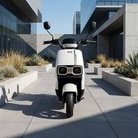 Moto électrique 1000W 60V Lithium, 3 vitesses réglables, autonomie 40km, charge utile 200kg, frein à disque avant, frein à tambour arrière, E-Moto urbaine