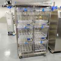 Vente chaude IVC Système de cage à souris PLC Équipement d'élevage Cages ventilées individuellement pour laboratoire Rat Lapin Souris Cochon d'inde