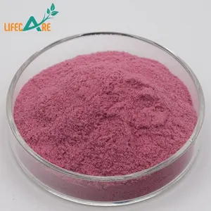 Voedingssupplement Dragon Fruit Poeder Water Oplosbaar Rood Dragon Fruit Poeder