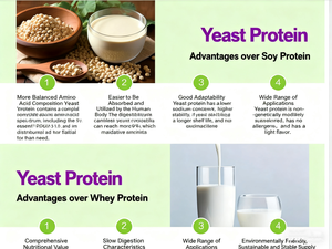Makanan kelas <span class=keywords><strong>Yeast</strong></span> Protein isolasi suplemen untuk nutrisi memanggang makanan ringan daging bahan penebal - Product Image 3