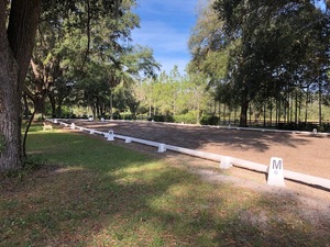 Commercio all'ingrosso 20x60m portatile <span class=keywords><strong>dressage</strong></span> arena cono e la lettera, arena <span class=keywords><strong>dressage</strong></span> - Product Image 6