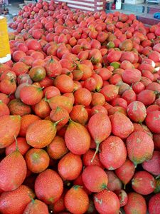 Huile de Gac pressée à froid pour la peau et les cheveux, vitamines A et E naturelles, huile de superfruits vietnamiens, bon prix - Product Image 4