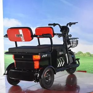 Nieuwe Komende Kleine Elektrische Mini Bus Driewieler Elektrische Winkelwagen China 2 Seat Golfkar