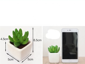 A-3063 Vaso in Ceramica con <span class=keywords><strong>Piante</strong></span> Succulente <span class=keywords><strong>Artificiali</strong></span> per Decorazione d'Interni - Product Image 5