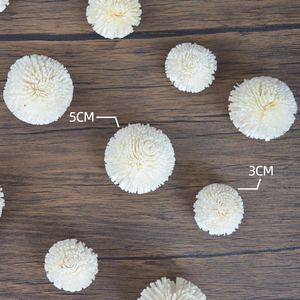 Diverses tailles faites à la main chrysanthème Sola <span class=keywords><strong>bois</strong></span> <span class=keywords><strong>fleur</strong></span> roseau diffuseur bâton décoration <span class=keywords><strong>de</strong></span> la maison fleurs sèches faites à la main Sola fleurs - Product Image 3