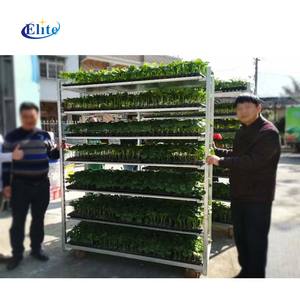 Carrello Multiuso per Vivaio a Più Livelli, Supporto Regolabile per Piante <span class=keywords><strong>con</strong></span> <span class=keywords><strong>Ruote</strong></span>, Espositore Mobile per Centro Giardinaggio - Product Image 1