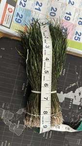 Tela de Encaje con Plumas de Pavo Real Hechas a Mano, Ecológicas, Ligeras y de Alta Calidad, Diseño de Moda para Vestidos de Noche, Disfraces de Escenario y Bodas - Product Image 6