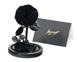Set regalo di natale di tendenza piccola cupola di vetro rose conservate altre decorazioni per la casa-i migliori regali di Natale - Product Image 5