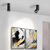 Spots LED rotatifs à intensité variable 9W 15W 24W COB, éclairage de plafond, lampe murale LED AC110-220V, éclairage intérieur blanc chaud et froid