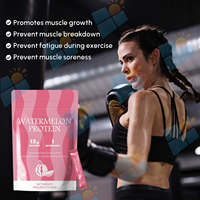 SUNI OEM ODM Marque Privée Végétalien Isolat de Protéine de Whey à la Pastèque en Poudre Haute Teneur en Protéines Formule Personnalisée pour Boisson Post-Entraînement