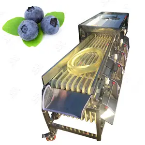 Automatic Orange Lemon Mango Kiwi Blueberry Dates Bear Hops Sorting Fruit Apple Tomato Grading Machine