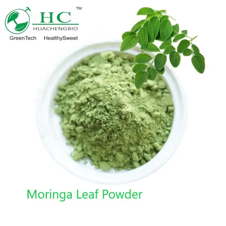 Nhà Máy cung cấp thực phẩm lớp Moringa lá chiết xuất Moringa lá bột Moringa oleifera lá chiết xuất