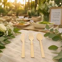 Ensemble de couverts jetables en bois de bouleau, fourchette, couteau, cuillère, compostables, vente en gros, pour fêtes, restauration aérienne, logo personnalisé