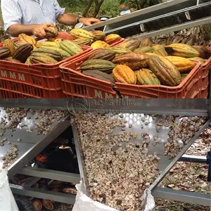 الكاكاو الفاكهة الطازجة قرنة آلة القصف الأخضر الكاكاو قرنة فاصل آلة الكاكاو الفول آلة جمع المحاصيل