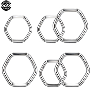 G23 titanio hexágono tabique anillos 16G 8mm tabique aro 16 calibre segmento con bisagras anillo Clicker Daith Piercing joyería - Product Image 1