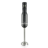 Mixeur plongeant électrique RAF de haute qualité, moteur en cuivre 1800W, mini mixeur plongeant avec écran numérique