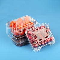 Boîte d'emballage transparente en plastique pour fruits, conteneur alimentaire de qualité alimentaire, boîte blister en PET, conteneur pour fraises