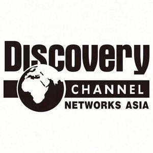 Pegatinas de PVC para coche OEM a precio económico, calcomanías de vinilo troqueladas con letras transferibles - Product Image 3