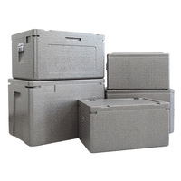 Grand incubateur alimentaire commercial chinois, boîte isotherme en mousse EPP pour stand, seau à glace de conservation de la chaleur, 4 blocs de glace offerts