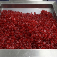 Bonbons gélifiés à la biotine pour adultes OEM ODM, vitamines pour les cheveux, la peau et les ongles, non destinés aux femmes enceintes et aux nouveau-nés, produit de beauté à étiquette privée