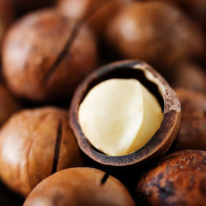 Nueces de Macadamia orgánicas a granel directas de fábrica, crema recién tostada con cáscara, alimentos secos a precio barato - Product Image 3