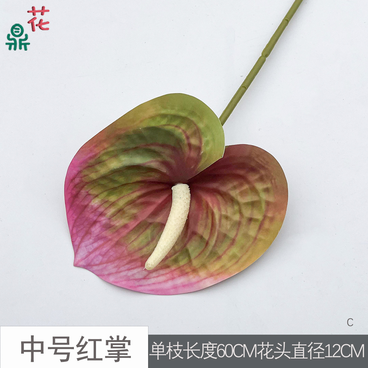 Anthurium rouge moyen C 30 vert rose