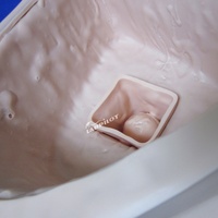 Simulador de Examen Rectal con Heces, Maniquí para Prácticas Médicas y de Enfermería, Modelo de Entrenamiento Clínico de PVC