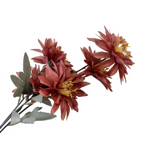 Rose de <span class=keywords><strong>bleuet</strong></span> - Product Image 1