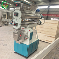 Machine à granulés pour bétail et volailles 1-2T, ligne de production d'aliments pour animaux, machine à granulés à matrice annulaire pour bovins et ovins avec certification CE