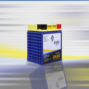Batterie à décharge profonde Firefly Energy Oasis 12V 42Ah, modèle PB 12-42, non écoulable, microcellulaire, en mousse de carbone, pour énergie solaire et onduleur (UPS) - Product Image 2