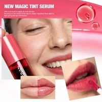 Nouveau Rouge à Lèvres 5 Couleurs Anti-transfert, Gloss Hydratant Effet Brume, Teinture à Lèvres